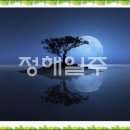 24.정해(丁亥)일주 분석 이미지