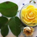 장미셀프세차 이미지