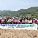 농촌시장