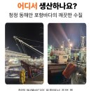 영일 | 동해안 자연산 '영일씨푸드' 골뱅이 후기, 내장손질까지 완벽, 진공포장 산지직송