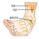 신길베스트마취통증의학과의원 이미지