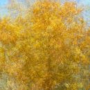 하례학림로 이미지