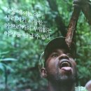 트래블 디스 이즈 아프리카 이미지
