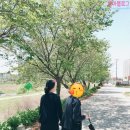 쓰김