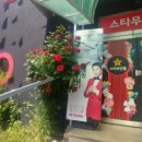 스타무인텔 이미지