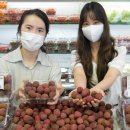 리치 - 중구 퇴계로 116-1 | 리치