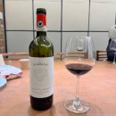 2020 | 우지아노 키안티 클라시코 2020 후기 뱅가드와인머천트 와인 추천 Uggiano