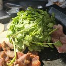 대흥역(6) | 대흥역 맛집 김숙성 대흥본점 미나리 삼겹살 후기
