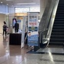 [W21] 팜투어 박람회 후기 (칸쿤, 스페인 견적 및 임정연 한복 가계약)