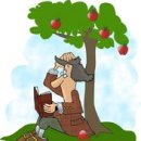 과학과 자연세계 Science and the Natural World 이미지