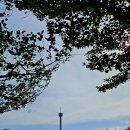 송파나루공원(석촌호수) 이미지