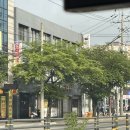 채다올 김밥 중리점 이미지