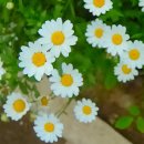 제이와이메디컬 이미지