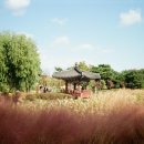 미력산 | 캐논 오토보이 3 사용후기