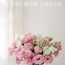 스노우폭스플라워건대