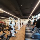 레벨업휘트니스 우만동점