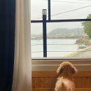 여수 갈릴리 독채펜션 이미지