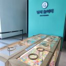 [충북 충주] 다양한 민물고기와 수달을 만날 수 있는 『충주 아쿠아리움』