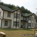 사사 학교 Daum카페