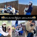 보금