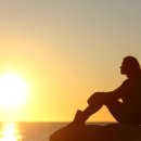 주도흑염소 이미지