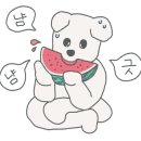 루피펫살롱 이미지