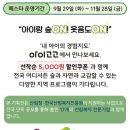 숲환경놀이지도사 | 아이랑 갈만한 곳｜가을 숲ON페스타 숲체험