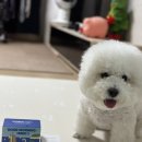 하이비오 이미지