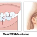 서울보스톤고른이치과의원 이미지