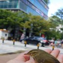 대천명마트