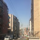 강서구-76 이미지