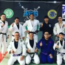 팀타이런트 유도 이미지