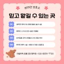 데일리독인천강아지분양
