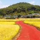 솔숲갈래길 이미지