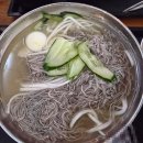 선호에프엔비 고양스타필드점(속초코다리냉면) | 일산 스타필드 맛집 속초코다리냉면 스타필드 고양점 내돈내먹 솔직후기