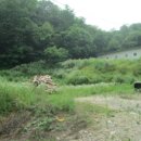 아산목장 이미지