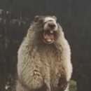 더트리니티스파 판교점 이미지