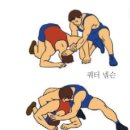 레슬링 마니아타임즈