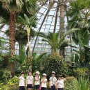 물향기 유치원 이미지