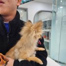 닥터k동물병원 이미지
