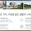 원곡고교길 이미지