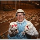 두봉농장 이미지