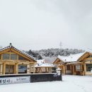 동해잇다 이미지