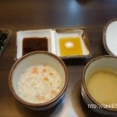 황금참치 이미지