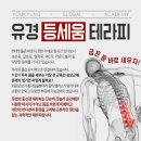 수정뷰티에스테틱