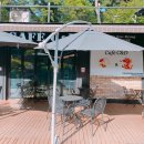 카페씨앤디마운틴 이미지