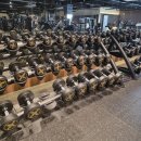 마블 피트니스 이미지