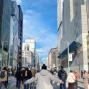 [해외여행] 도쿄 여행 2일차 기록 | 아사쿠사, 긴자, 차 없는 거리, 세븐일레븐 스무디, 장어덮밥 맛집 |