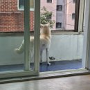 직업이 생겼습니다 ㅋㅋ 이미지