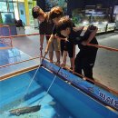 위성초교 이미지